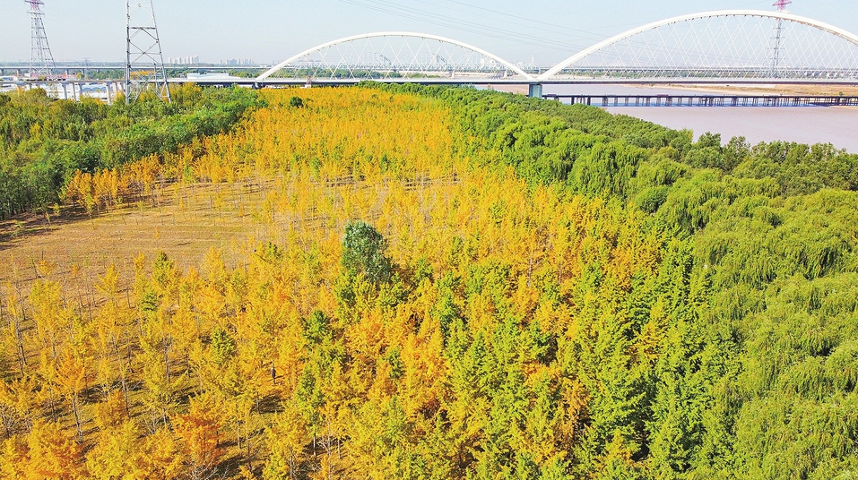 因黄河防汛，济南泺口浮桥定于6月25日早晨5点拆除