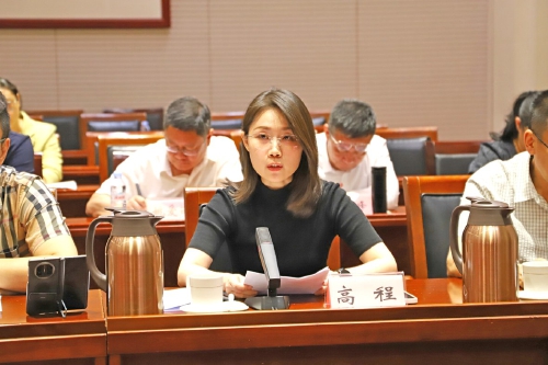 唤醒千年文脉 铸就“超级符号”——党外人士建言打造泉城文化核心IP