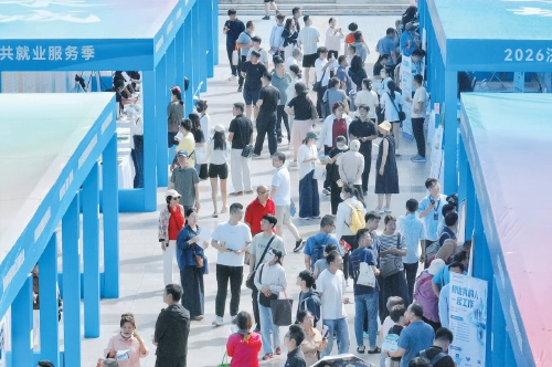 近300家优质企业进场揽才，提供岗位1.2万余...